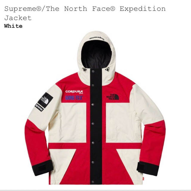 supreme the north face