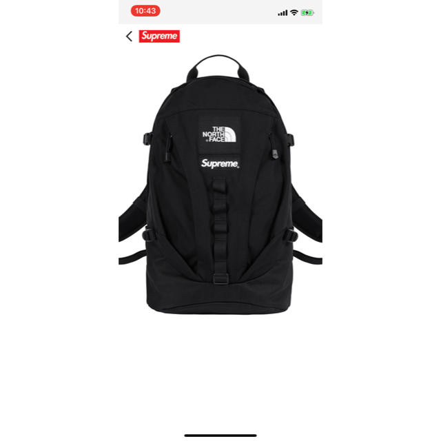 supreme  north face backpack