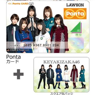 ケヤキザカフォーティーシックス(欅坂46(けやき坂46))の欅坂46 pontaカード+スクエア缶バッジ type B(アイドルグッズ)