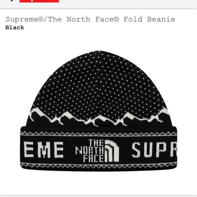 ニット帽/ビーニーSupreme The North Face Fold Beanie