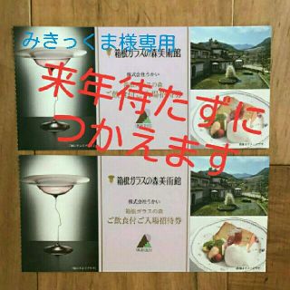 ガラスの森美術館　招待券　ランチつき　２枚(その他)