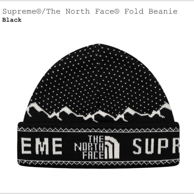 supreme north face ビーニー