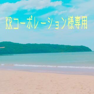 KRコーポレーション様専用です☆(その他)