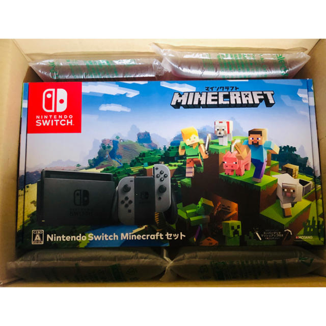 ☆新品・未開封☆ Nintendo Switch Minecraftセット-