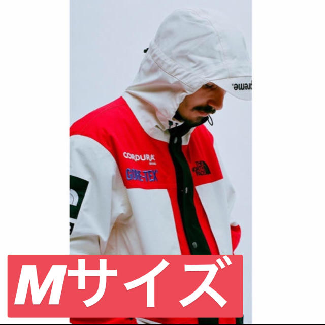 Supreme/The North Face Expedition Jacket