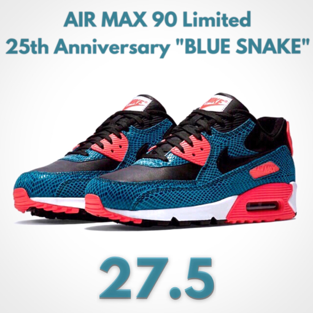 NIKE(ナイキ)の送込27.5‼︎ NIKE AIR MAX90 限定アニバーサリー 青蛇 メンズの靴/シューズ(スニーカー)の商品写真