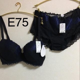 トリンプ(Triumph)の専用   フロラーレ     E75(その他)