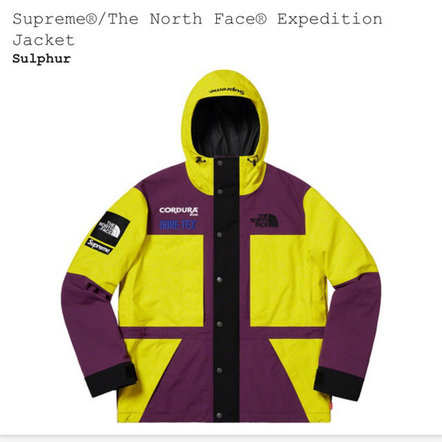 Supreme north face M