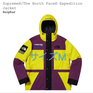 シュプリーム(Supreme)のSupreme®/The North Face® Expedition(マウンテンパーカー)