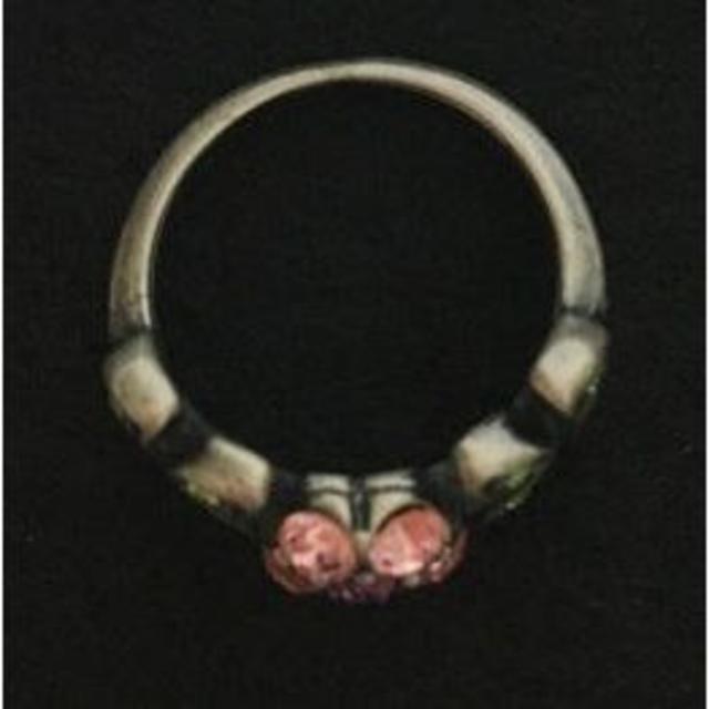 ANNA SUI(アナスイ)のアナスイリング USED品 レディースのアクセサリー(リング(指輪))の商品写真