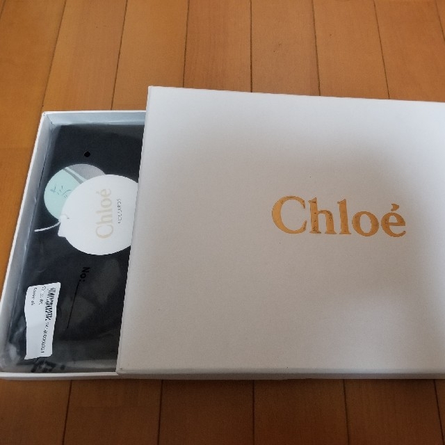 Chloe(クロエ)のChloe 洗えるカシミヤ マフラー レディースのファッション小物(マフラー/ショール)の商品写真