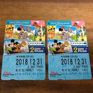 ディズニー(Disney)のディズニーリゾートライン 2dayパス(遊園地/テーマパーク)