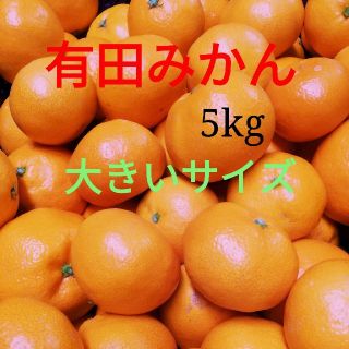 有田みかん🍊大玉3L🍊5㎏送料込み🍊(フルーツ)