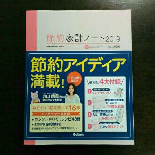 ガッケン(学研)の節約家計ノート2019　監修:FP丸山晴美　学研▼最終値下げです！3/20(その他)