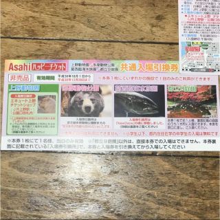 上野動物園 多摩動物公園 葛西臨海水族園 引換チケット(動物園)