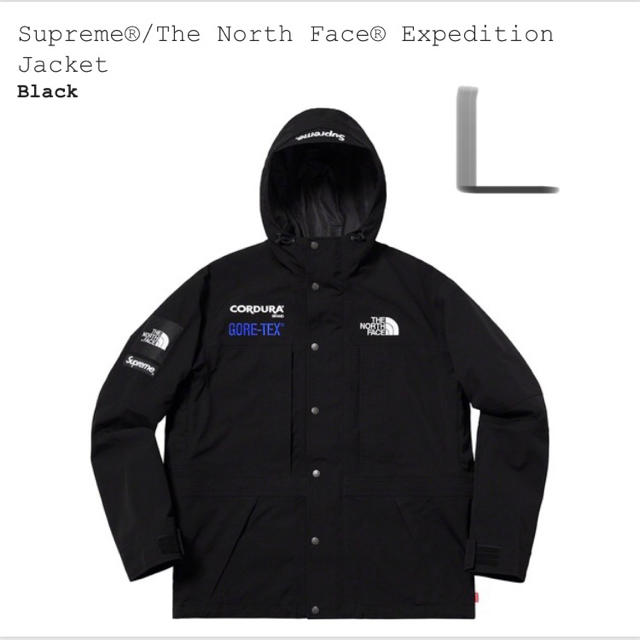 supreme the north face Lサイズ