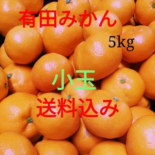 有田みかん🍊5㎏  小玉🍊送料込み✨(フルーツ)