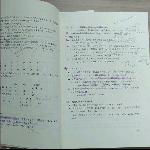 白水社「標準ラテン文法」 エンタメ/ホビーの本(語学/参考書)の商品写真