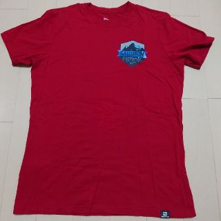 サロモン(SALOMON)のフィギュア専門店様ご専用　サロモン Tシャツ M(Tシャツ/カットソー(半袖/袖なし))