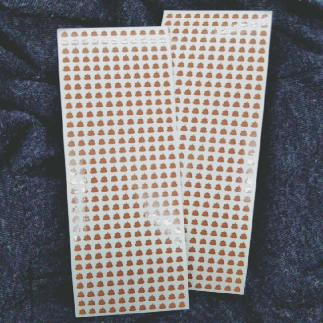 azuki様専用 うんちシール2枚セット 育児日記 育児管理の通販 by
