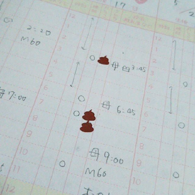azuki様専用 うんちシール2枚セット 育児日記 育児管理の通販 by