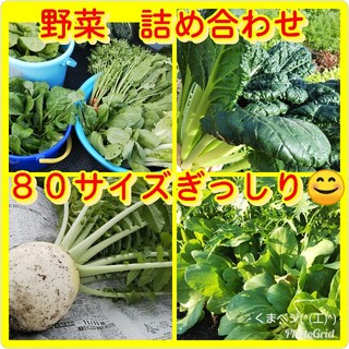80サイズお野菜詰め合わせ(野菜)