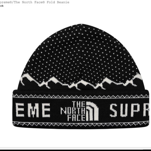 supreme the north face beanie