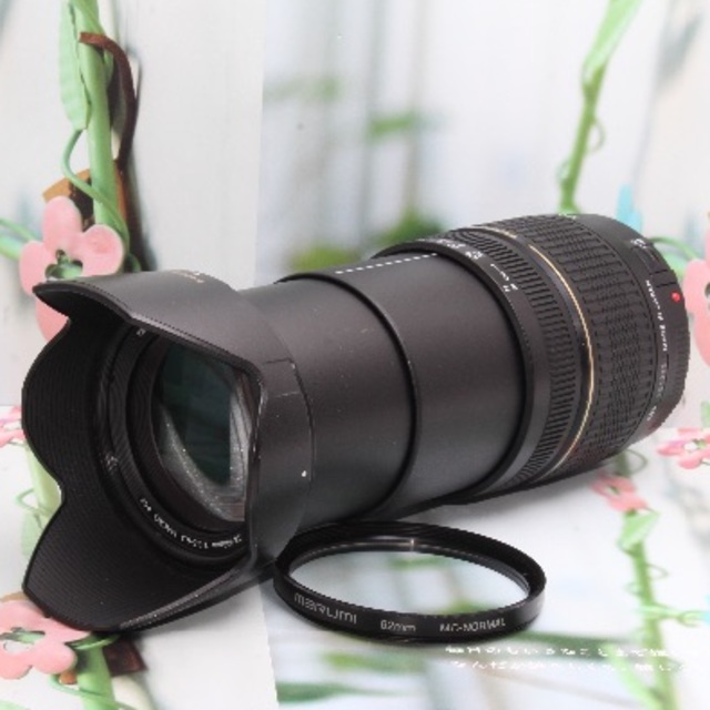 カメラ❤️キャノン用❤️広角〜超望遠までこれ一本 タムロン 28-300mm❤️