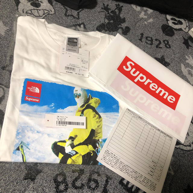 supreme×the north face    phot tee