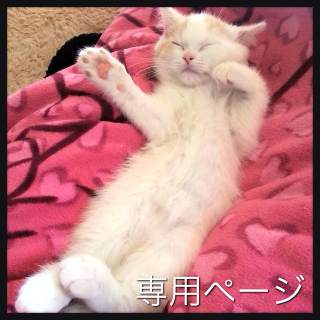 rienda - ＊R'mama＊ページ