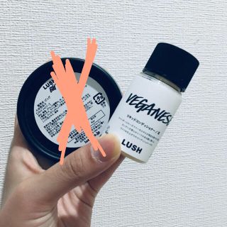 ラッシュ(LUSH)のLUSH リキッドコンディショナー(コンディショナー/リンス)