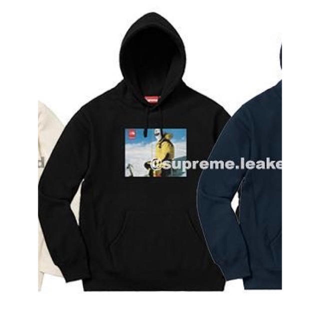 supreme north face