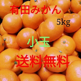 有田みかん🍊小玉🍊5㎏🍊送料込み🍊糖度高め(フルーツ)