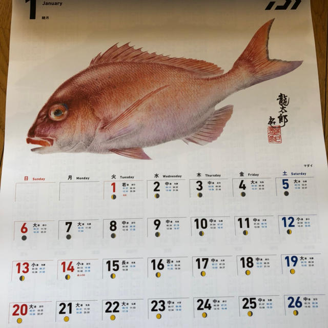 Daiwa 2019 カレンダー  魚拓カレンダー インテリア/住まい/日用品の文房具(カレンダー/スケジュール)の商品写真