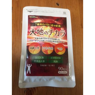 大地のチカラ　約3ヵ月分　トナカイの角 マカ 高麗人参 田七人参(その他)