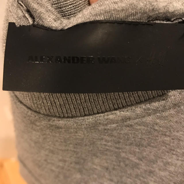 Alexander Wang(アレキサンダーワン)のAlexander Wang ✖️ H＆M スキューバスウェット メンズのトップス(スウェット)の商品写真