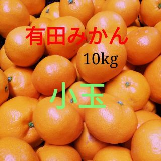 有田みかん✨小玉🍊10㎏✨送料込み✨糖度高め(フルーツ)