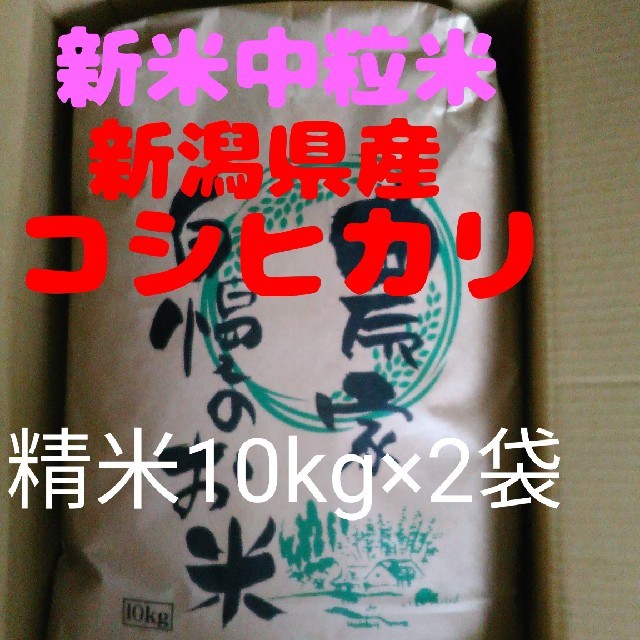 即購入OK】新米新潟コシヒカリ中粒米10キロ精米×2袋同梱　米/穀物