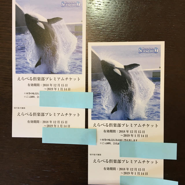 鴨川シーワールドのチケット 2枚セット チケットの施設利用券(水族館)の商品写真