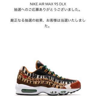 アトモス(atmos)のNIKE AIRMAX95 DLX animal (スニーカー)