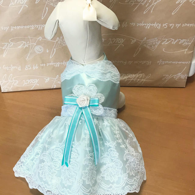 あさあさあさ様専用♡プリンセスドレス ハンドメイドのペット(ペット服/アクセサリー)の商品写真