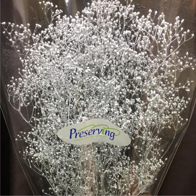 ハーバリウム花材／かすみ草／シルバー ハンドメイドのフラワー/ガーデン(ドライフラワー)の商品写真