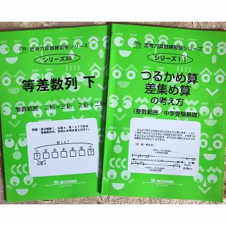 認知工学 サイパー算数練習帳シリーズ 2冊セット(語学/参考書)