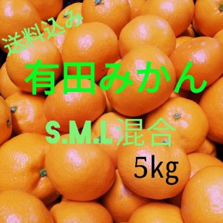 有田みかん🍊秀品🍊5㎏🍊中玉サイズ🍊(フルーツ)