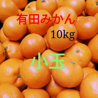 有田みかん🍊小玉🍊10㎏🍊送料込み(フルーツ)