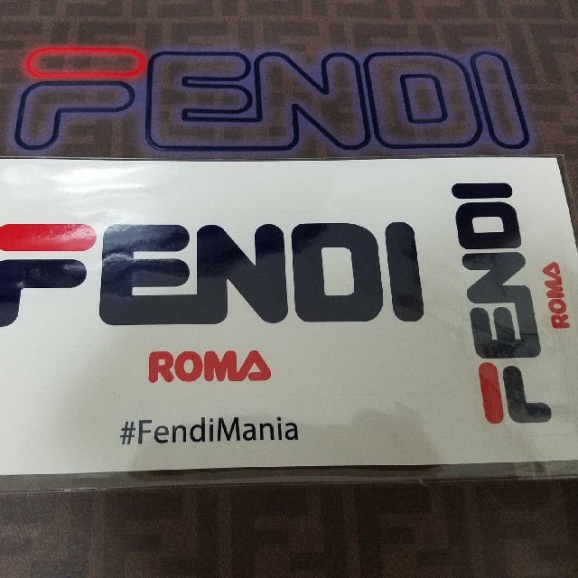 FENDI(フェンディ)の小物(FENDI) レディースのファッション小物(その他)の商品写真