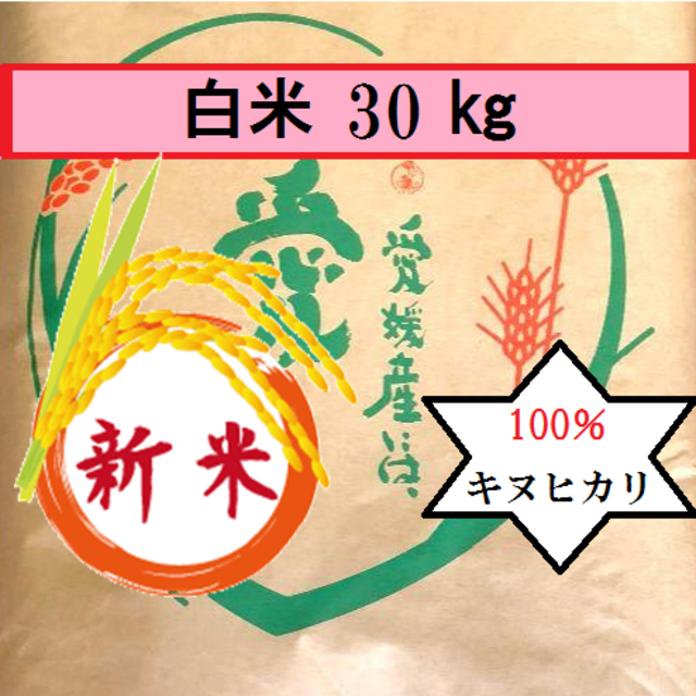 ぅり茶様専用　お米　H30　愛媛県産キヌヒカリ　白米　30㎏