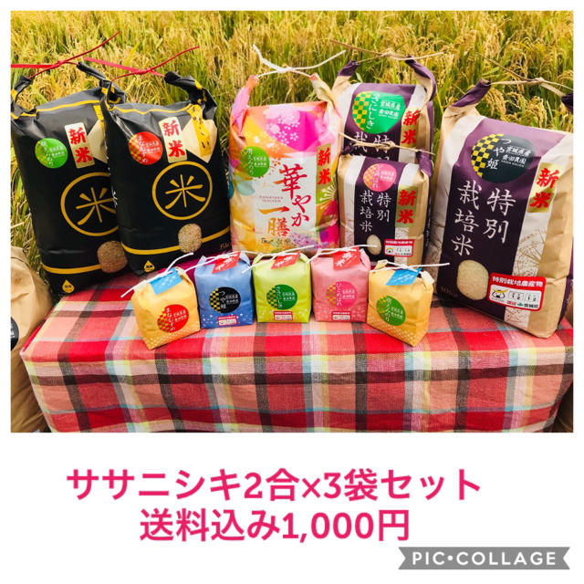 ちゃんみ様専用ページ☆宮城県産ササニシキ2合×3袋セット 食品/飲料/酒の食品(米/穀物)の商品写真