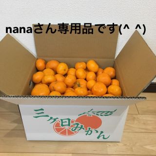 10キロ nanaさん専用品です。(フルーツ)