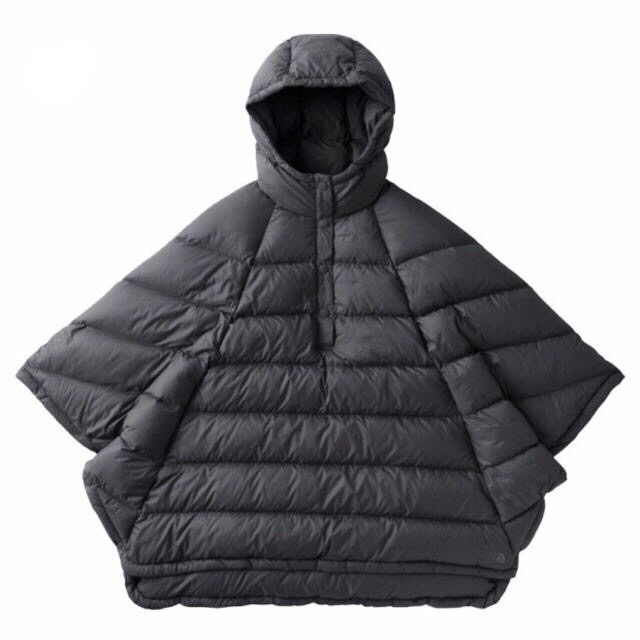 【値下げ】THE NORTH FACE ピローチョ ノースフェイス Lダウンジャケット